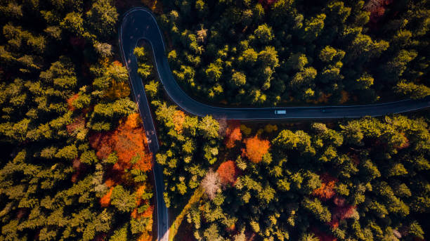 istock Curwy Winding Road Trough Forest at Fall Foliage Colors. Top Down Drone View 1188190908