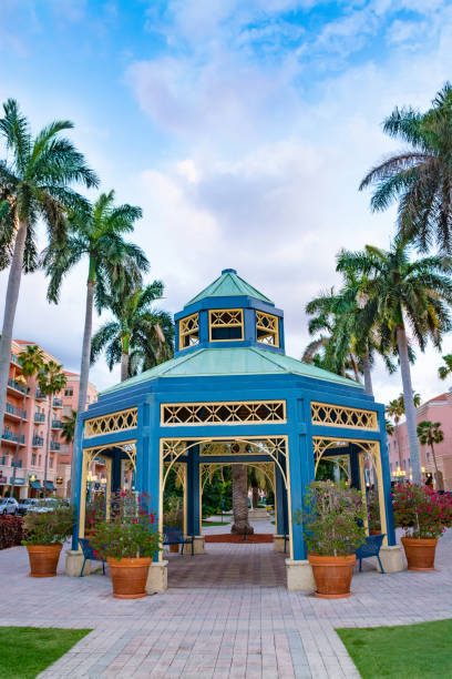 istock Boca Raton Florida city center. 1188191877