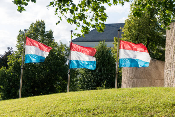 istock three flags of Luxembourg on a grass field in a strong wind 1188192753