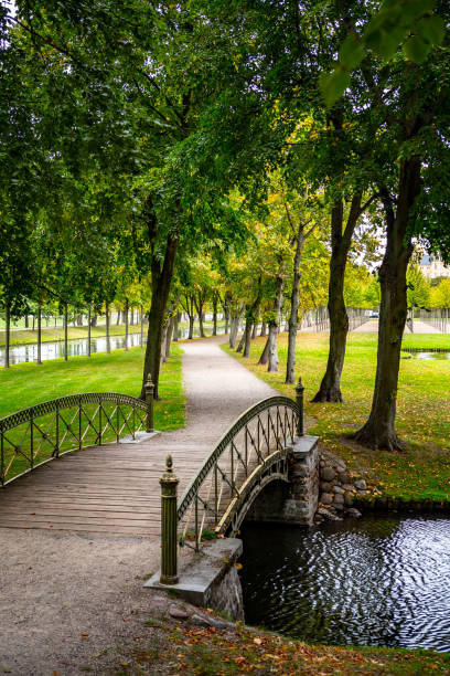 istock Beautiful wooden bridge in a summer park 1188193025
