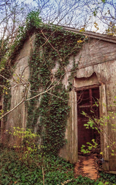istock Run down dilapidated horse barn on an abandoned farm 1188195022