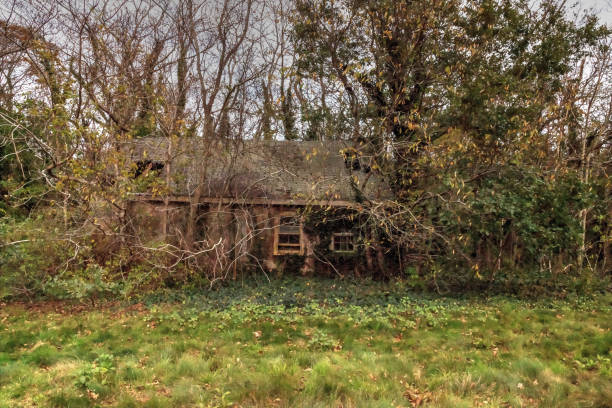 istock Run down dilapidated horse barn on an abandoned farm 1188195023