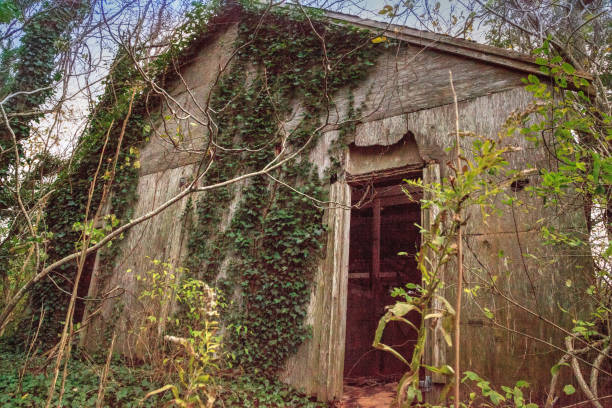 istock Run down dilapidated horse barn on an abandoned farm 1188195190