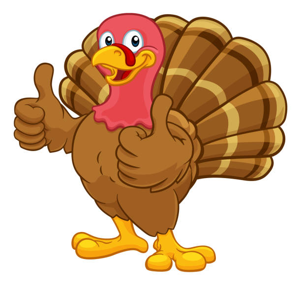 turcja dziękczynienia lub boże narodzenie cartoon character - turkey white background bird thanksgiving stock illustrations