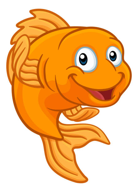 Gold Fish or Goldfish Cartoon Character A friendly cartoon goldfish or gold fish character swimming drawings stock illustrations