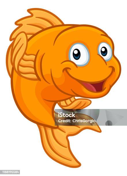 Gold Fish Or Goldfish Cartoon Character Stock Illustration - Download Image  Now - Fish, Cartoon, Goldfish - iStock