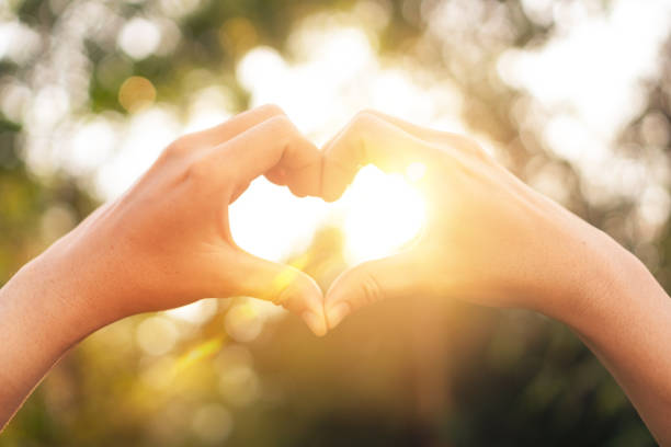 istock Female hands heart shape on nature bokeh sun light flare and blur leaf abstract background. 1188196376