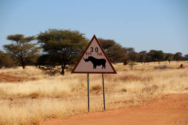 나미비아 아프리카의 도로에 경고 표지판 코뿔소 - savannah africa steppe namibia 뉴스 사진 이미지