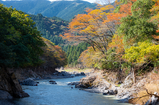 Mitake Gorge Walking Path is located in Oume city, Tokyo.\nAround November every year, many people visit here to enjoy autumn leaves.