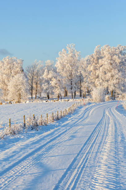 istock Country road in wintry landscape 1188204507