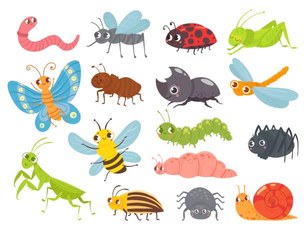 ilustraciones, imágenes clip art, dibujos animados e iconos de stock de lindos insectos de dibujos animados. oruga divertida y mariposa, insectos niños, mosquito y araña. conjunto de ilustraciones vectoriales de saltamontes verdes, hormigas y mariquitas - insecto