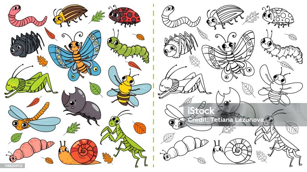 Cartoon Insects Color Painting Game Draw Cute Insect With Kids Funny Bug  Worm And Caterpillar Vector Illustration Stock Illustration - Download  Image Now - iStock