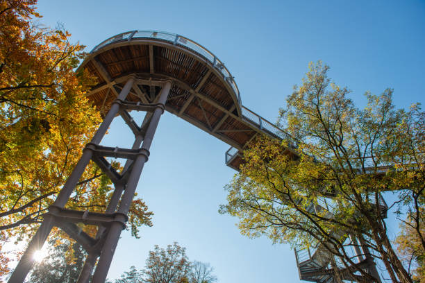 istock Treetop path through the mixed forest at the Beelitz near Berlin in Germany, view from below to the supports and wooden planks. Autumn trees. 1188210552