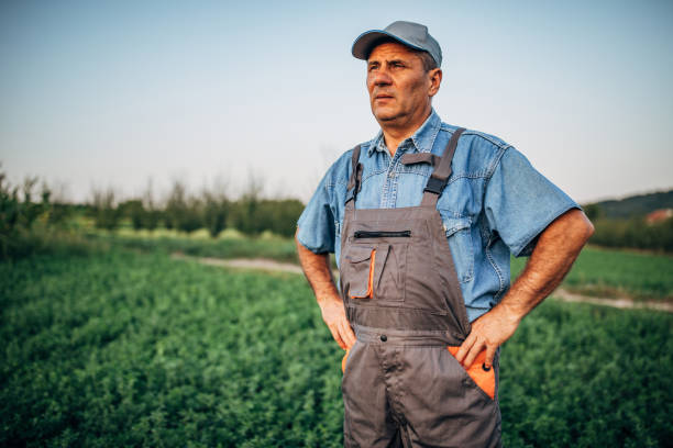 istock Senior farmer in field 1188211837