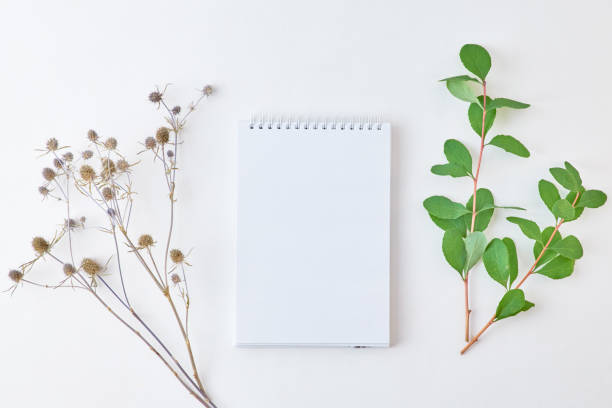 istock Mockup white notebook with branches with green leaves on a light background 1188213387