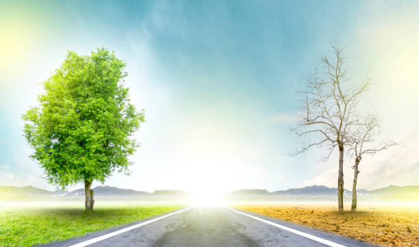 istock Renewable energy concept Earth Day or environment protection Hands protect forests that grow on the ground and help save the world. 1188214323