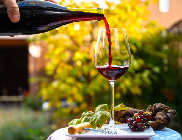 Pouring yound red beaujolais wine in glass during celebration of end of harvest and first sale release on third Thursday of November in Burgundy, France Pouring yound red beaujolais wine in glass during celebration of end of harvest and first sale release on third Thursday of November in sunny day in Burgundy, France beaujolais stock pictures, royalty-free photos & images