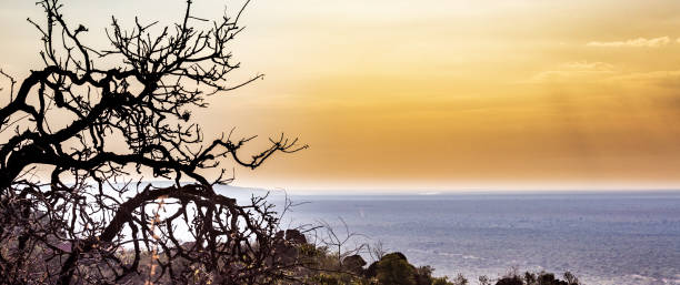 istock Waterberg landscape in Namibia 1188216595