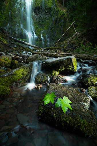 Waterfall, Water, Oregon - US State, River, Cascade Range