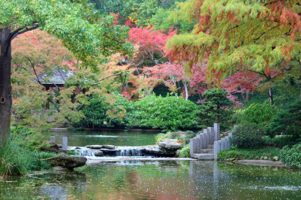 istock Vibrant fall foliage, autumn colors with small waterfall 1188217611