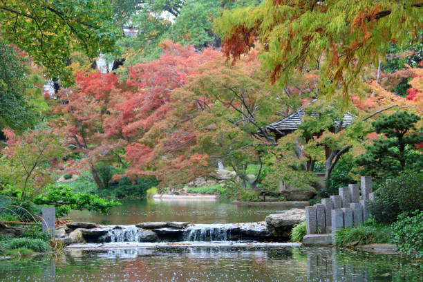 istock Vibrant fall foliage, autumn colors with small waterfall 1188217631