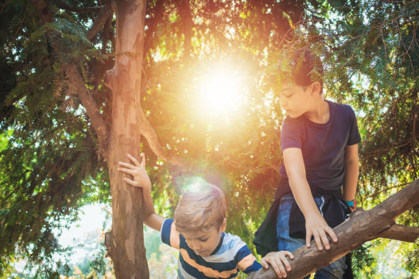 Two boys climbing on a tree while paying together in nature.