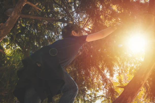 istock Below view of boy climbing on a tree. 1188218322