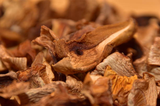 istock Close-up of dried mushrooms 1188220120