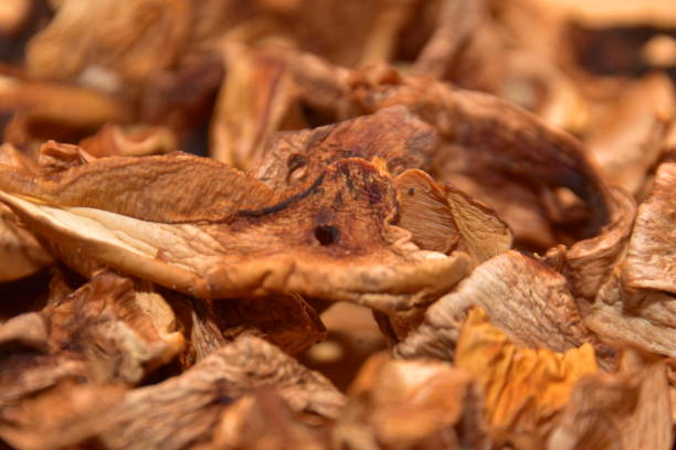 istock Close-up of dried mushrooms 1188220202