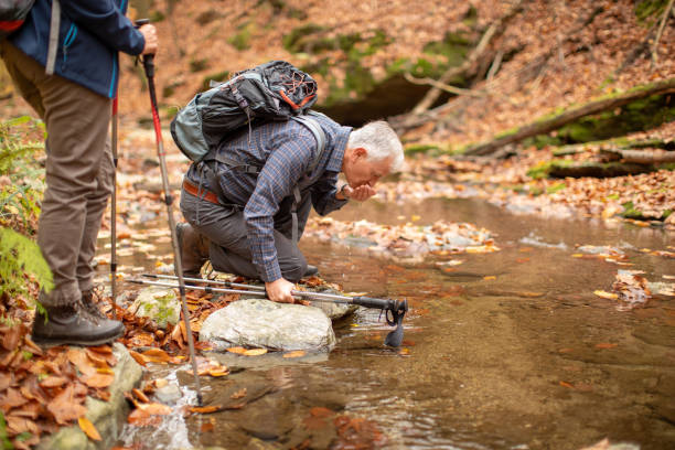 istock Senior couple going hiking in forest on mountain 1188221019