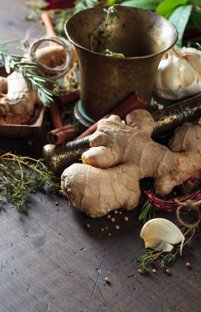 different herbs and spices on a wooden table . - mortar and pestle spice seasoning coriander seed imagens e fotografias de stock