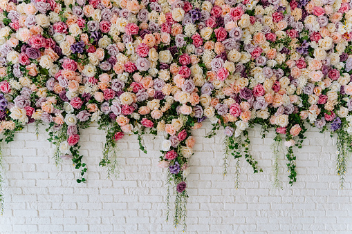 Hermosas rosas coloridas decorativas en la pared de ladrillo photo