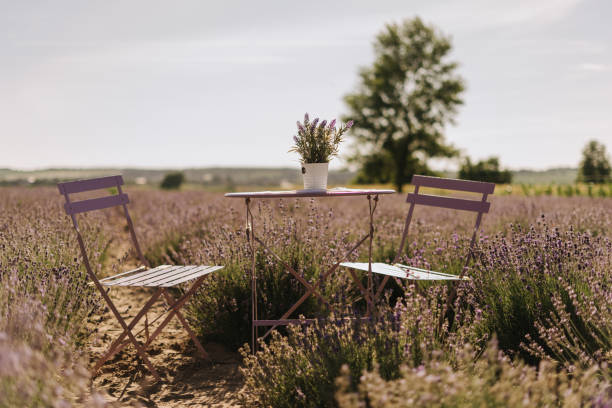 istock Table and Chairs Outdoor on Sunny Lavender Field 1188230367