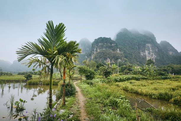 istock Kart landscape in Vietnam 1188230421