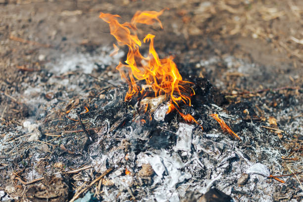 the flame from burning garbage. fire on junk - forest fire power actions nature imagens e fotografias de stock