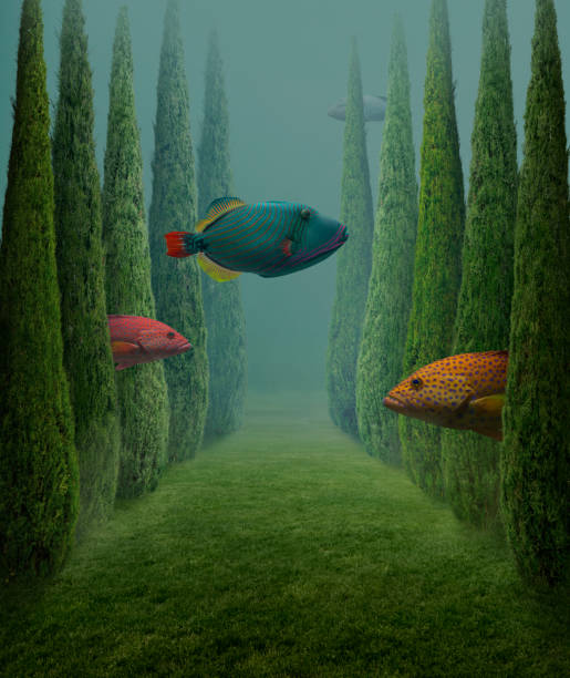 Big fishes This is a photo compilation surreal stock pictures, royalty-free photos & images