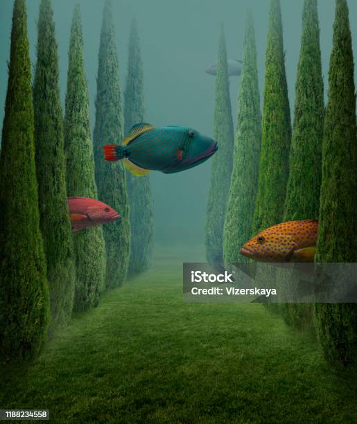 Big Fishes Stock Photo - Download Image Now - Surrealism, Surreal, Fantasy