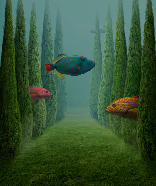 big fishes - surrealista imagens e fotografias de stock