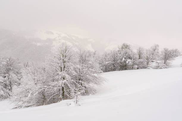 istock Minimalistic winter landscape in cloudy weather 1188235318