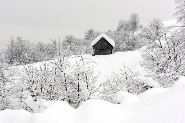 istock Minimalistic winter landscape with wooden house 1188235325