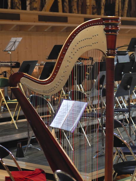 istock Harp in a concert hall 1188235406