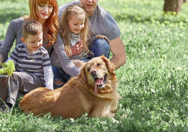 istock happy family on a picnic on a spring day 1188236300