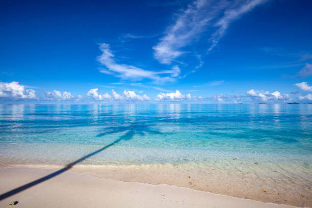 Beach. The best views of the beach in Marbella. Malaga province, Costa del Sol, Andalusia, Spain.