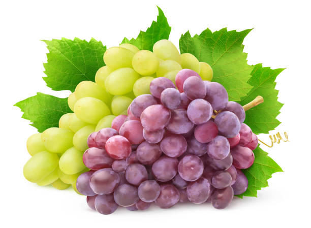 dos variedades de uva - berry fruit pink vibrant color leaf fotografías e imágenes de stock
