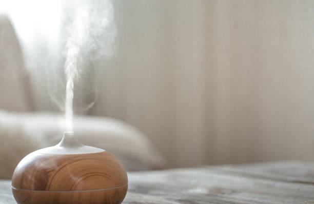istock Humidifier on the table in the living room. 1188239892