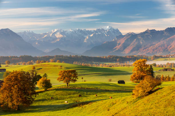 autunno in baviera, murnauer moos con zugspitze in background - waxenstein foto e immagini stock