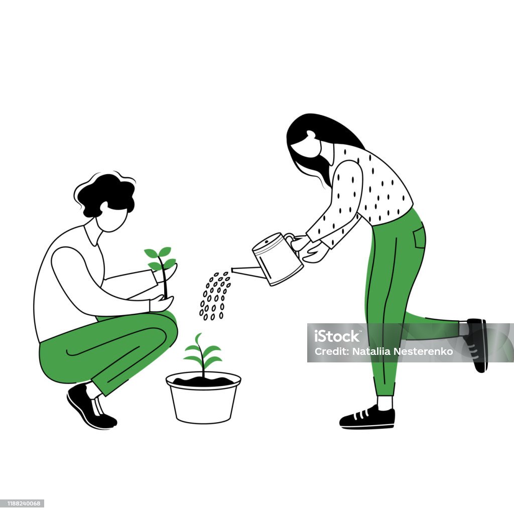 People Growing Plants Flat Contour Vector Illustration Gardeners Isolated  Cartoon Outline Character On White Background Couple Seeding And Watering  Houseplants Simple Drawing Gardening Concept Stock Illustration - Download  Image Now - iStock
