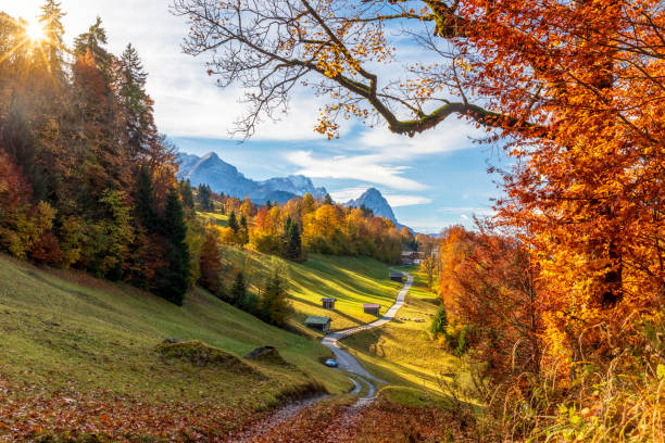 wamberg in autunno - baviera - germania - waxenstein foto e immagini stock