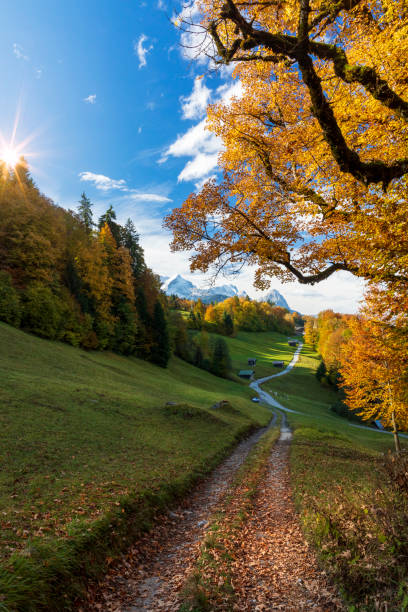 wamberg en otoño - baviera - alemania - waxenstein fotografías e imágenes de stock