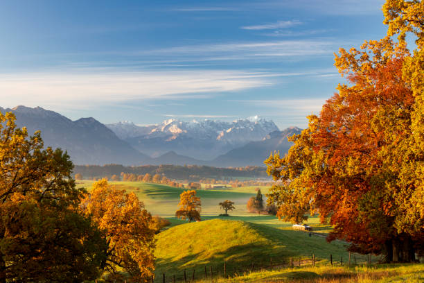 autunno in baviera, murnauer moos con zugspitze in background - waxenstein foto e immagini stock